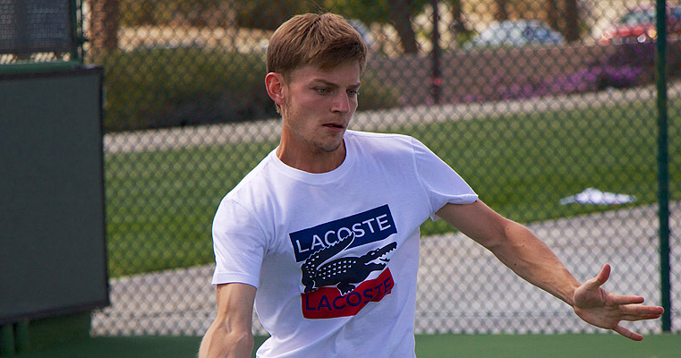 David Goffin (Foto: Christopher Hynes - https://www.flickr.com/photos/pluckytree/ - CC BY-SA 2.0)